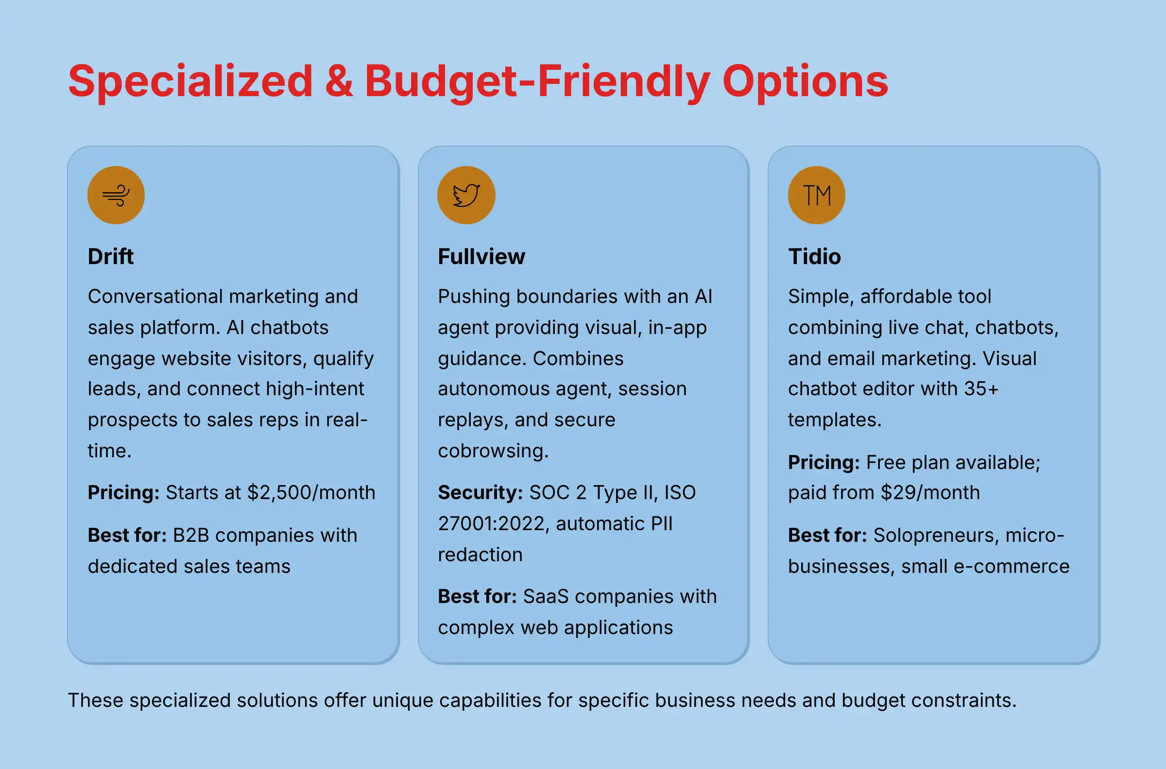 Specialized and Budget-Friendly AI Customer Service Options