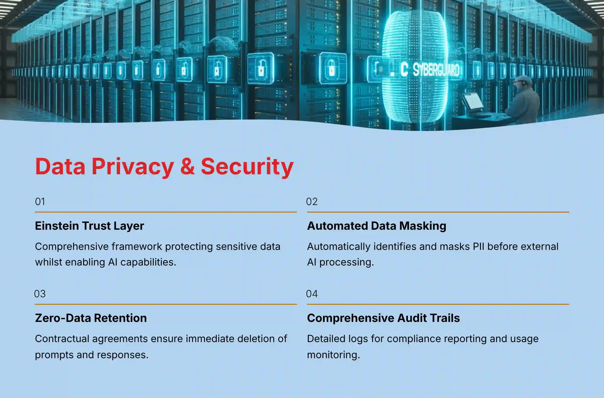 Salesforce Einstein Data Privacy and Security Framework