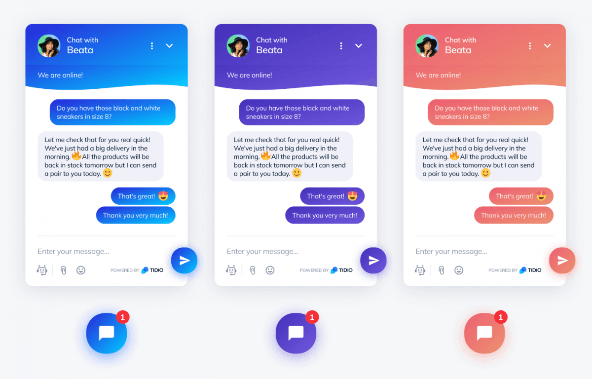 Tidio Widget Customization Options